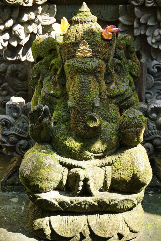 Dream Gasthuis Ubud