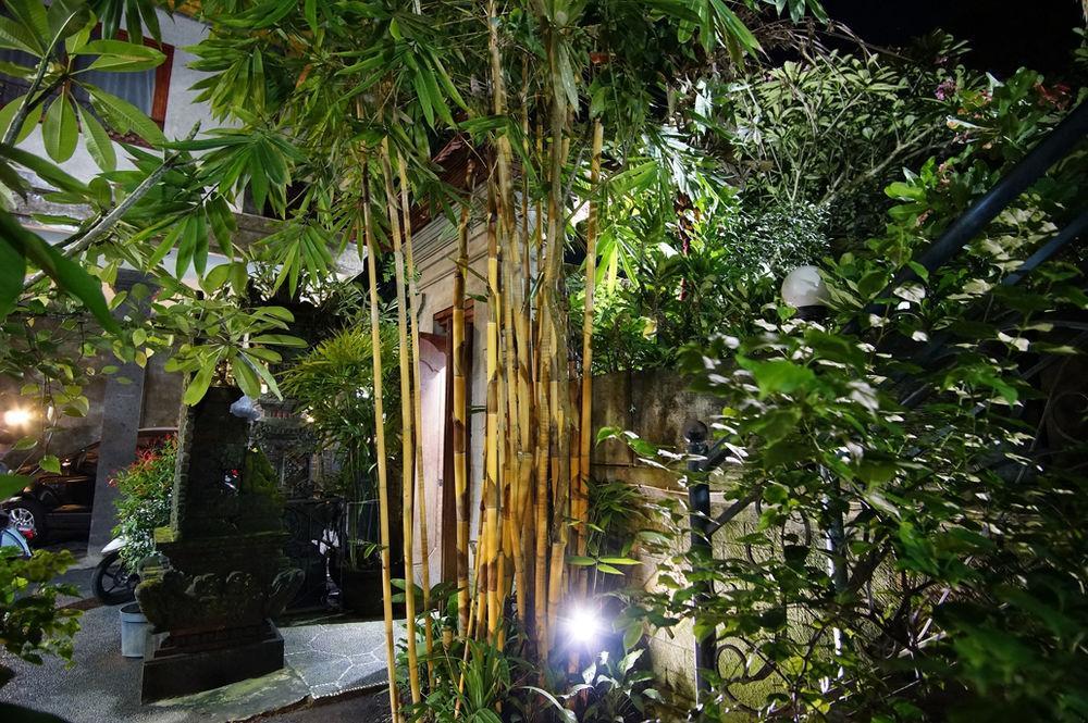 Dream Guest house Ubud (Bali)